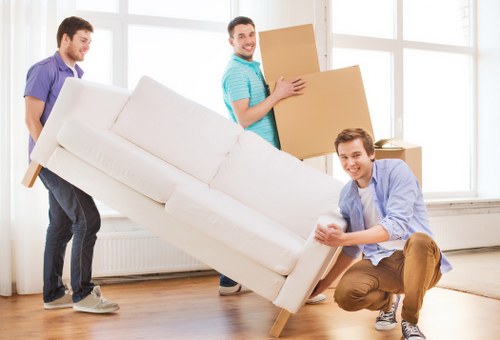 Professional moving service focused on safety and care